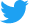 Twitter Icon